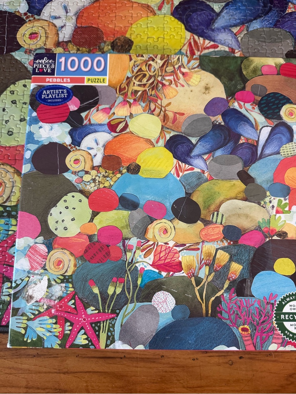 Eeboo 1000-Piece Pebbles Puzzle with Colorful Reef Artwork